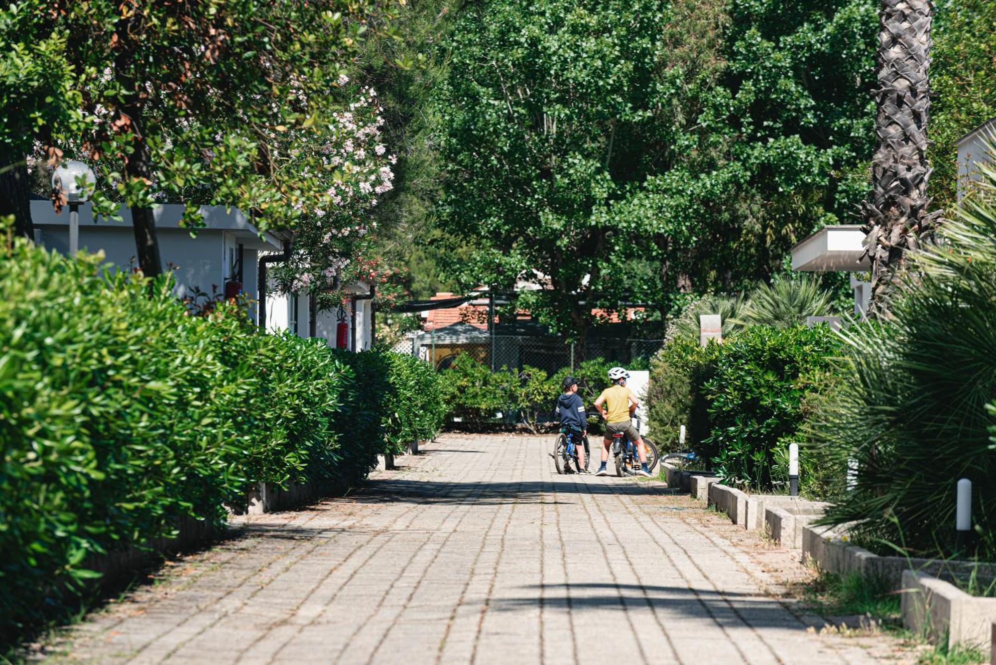Villaggio Turistico Le Diomedee Vieste Exterior foto